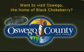 Want to visit Oswego, the home of Black Chokeberry? Oswego County New York